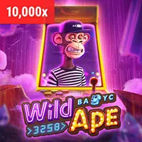 Đội ngũ hỗ trợ khách hàng chuyên nghiệp của boss11