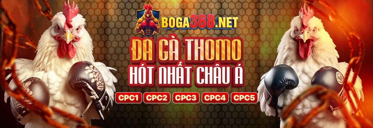 Đối tác boss11 làm việc trên laptop với biểu đồ tăng trưởng