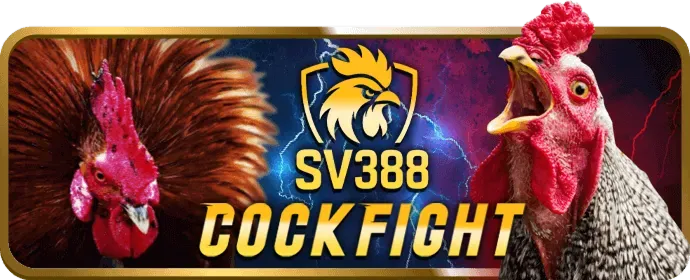 Hỗ trợ khách hàng boss11